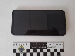 Женщину из Токмака уличили в финансировании «Азова»