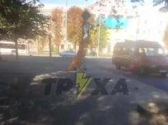 Рассекающий по улицам на самокате динозавр попал на видео в Запорожье