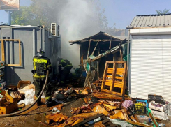 Подробности пожара на мелитопольском оптовом рынке овощей раскрыли в МЧС 