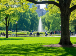 После аномальной жары в Запорожскую область придёт похолодание на 10 градусов