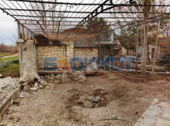 Раскрыты последствия удара дронов ВСУ по Васильевскому зоопарку