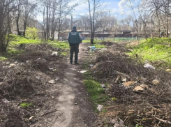 Экологи дали запорожским властям меньше недели на уборку мусора