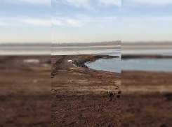 «Городские власти, вы где?»: масштабы мора птиц в Запорожье показал местный житель