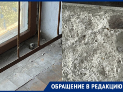 «Трупы мышей и кучи тараканов»: жители Днепрорудного пожаловались на ЖКУ