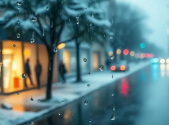 В Запорожской области ожидается сильный дождь