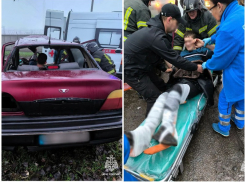 Легковушка влетела в дерево в Бердянске: пострадали четыре человека