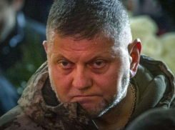 Залужного ранили по наводке офиса Зеленского, заявил экс-командующий Запорожской бригадой ВСУ