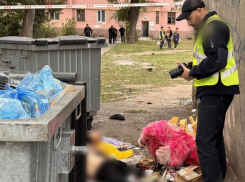 Приехал в отпуск: 33-летнего боевика ВСУ убили во время пьянки на Кичкасе в Запорожье