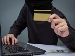 Аферисты начали рассылать запорожским водителям фейковые штрафы от ГИБДД