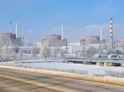 Новые условия сырьевой сделки: США требуют передачи АЭС - что будет с запорожской станцией