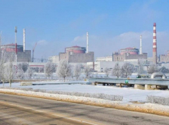 РФ и Украина заключили перемирие у Запорожской АЭС для ремонта ЛЭП