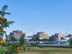 Погибнут миллионы: СВР рассекретила план Запада провести чудовищную диверсию на Запорожской АЭС