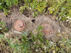 В Запорожской области полицейские нашли «клад» с боеприпасами