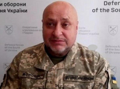 ВСУ заявили об отсутствии признаков подготовки ВС РФ к масштабному наступлению в Запорожье 