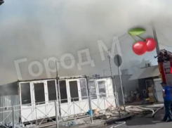 Опубликованы кадры пожара на оптовом рынке овощей в Мелитополе 