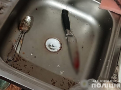 Жительница Запорожской области попала под дело за убийство любовника