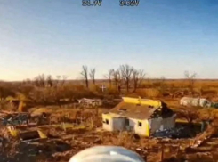 Сбивали дроны врага, вылезали из западни и утюжили ВСУ: «БАРС-Сармат» помогает ВС РФ в Запорожье