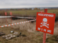 Минный взрыватель сдетонировал прямо в руках у подростка в Запорожской области