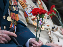 Более 700 ветеранов Запорожской области получили выплаты в честь 80-летия Победы
