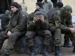 Кимаковский заявил о переброске в Гуляйполе сводного подразделения 154-й бригады ВСУ