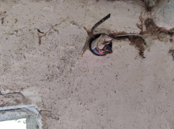 56-летний житель Токмака хранил коноплю в электрощитке для проводов 