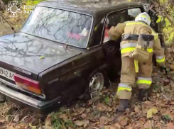 «Мужчину зажало изуродованными конструкциями»: машина влетела в дерево в Запорожье