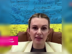 «Это мошенник»: депутат Рады Скороход раскритиковала министра обороны Украины из Васильевки Фёдорова