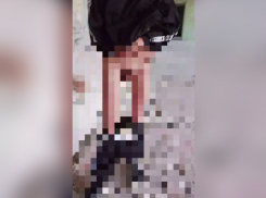 Раздели до гениталий: подростки показали на видео, как избили со смехом мальчика в Запорожье