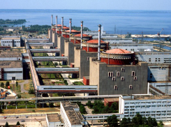 Запорожская АЭС могла стать целью сбитого украинского Су-27