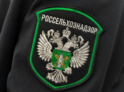 В двух кафе и столовой Мелитополя обнаружили мясо без документов