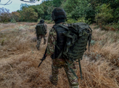 Новости СВО: ракеты КНДР рвут оборону НАТО в клочья, ВС РФ готовы начать бои за Запорожье и освобождать Орехов