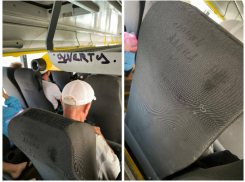 Нелепые рисунки и признания в любви в неожиданном месте возмутили мелитопольцев 