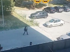 Крайне странная рекламная акция с опарышами попала на видео в Запорожье