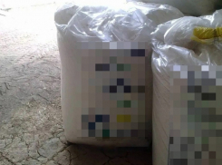 В Бердянске двое мужчин обворовали местное предприятие