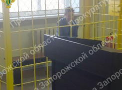 Фанатку Битцевского маньяка из Бердянска отправили в СИЗО на два месяца