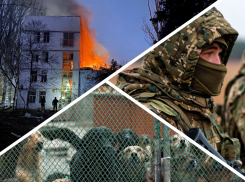 Новости Запорожья: взрывы на «Мотор Сич», уничтожение украинских ДРГ и страдания бездомных животных