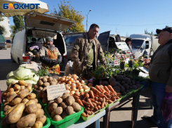 «Рынки Запорожья» заплатят почти 4 млн рублей за завышение цен на аренду магазинов в Бердянске