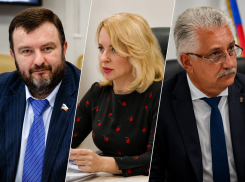 Кандидаты в Госдуму от Запорожской области раскрыли доходы и имущество