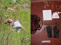 «Молоток едва не запутался в наушниках»: юная маньячка откровенно рассказала, как убивала школьницу в Бердянске