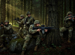 Новости СВО: угрозы Путину, Украина признала успехи ВС РФ в Запорожье и разгром ВСУ в Плавнях