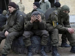 ТАСС: военные ВСУ на запорожском направлении считают себя брошенными