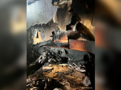 Мужчина и ребёнок заживо сгорели на пожаре в Бердянске