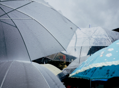 В Запорожской области объявили штормовое предупреждение