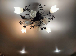 Из-за удара украинского БПЛА оказались обесточены два района Запорожской области