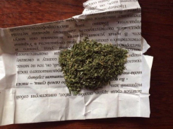 Жителя запорожского села поймали на хранении каннабиса