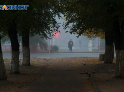 «Ядовитый» полигон, брошенный украинцами, ликвидируют в Бердянске 