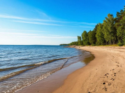 Стали известны подробности утопления 15-летнего подростка в Приморске 