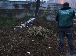 Экологи «предъявили» чиновникам за две новые свалки в Запорожье