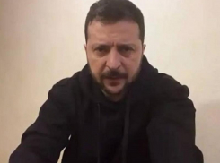 Зеленский призвал «срочно» остановить бои на Запорожском фронте СВО и выйти на переговоры