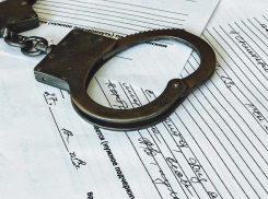 Пьяный житель Константиновки обматерил полицейских и попал под дело 